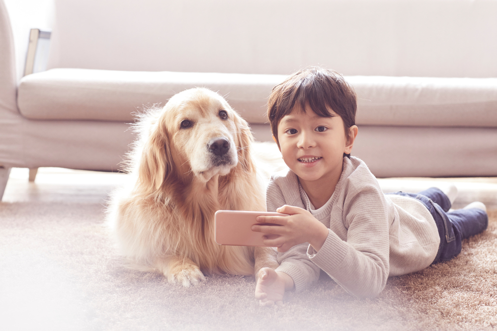 네이버플러스 멤버십 바우처 서비스 출시…펫 바우처 시작으로 혜택 확대