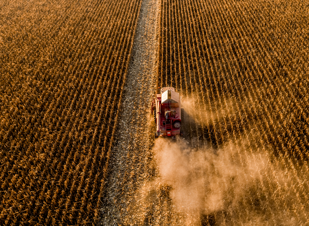 러시아 흑해곡물협정 중단... "전쟁 초기 수준 가격 급등 없을 것"