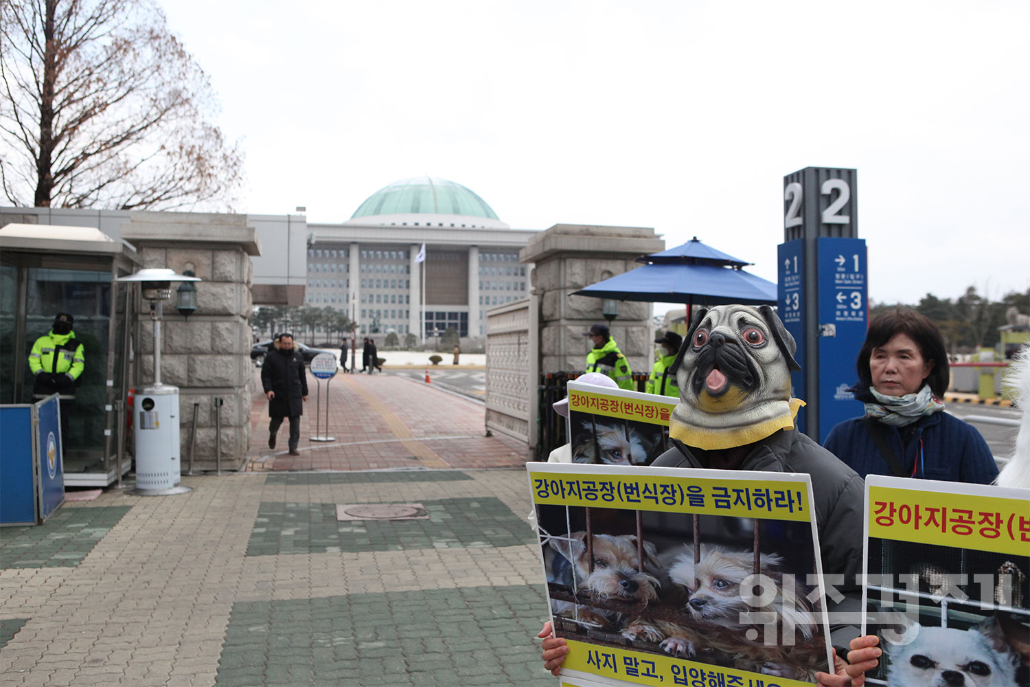 “강아지 공장·번식장 금지”…국제 강아지 날 앞두고 목소리 높인 동물보호단체