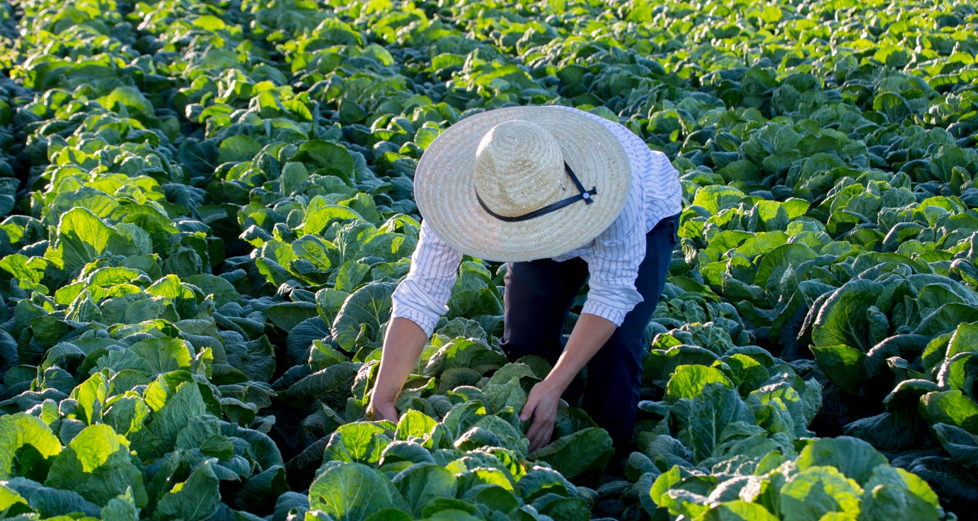"농식품 산업 성장잠재력 이끌어낼 것"... 2027년까지 민간 재원 5조 원 유치