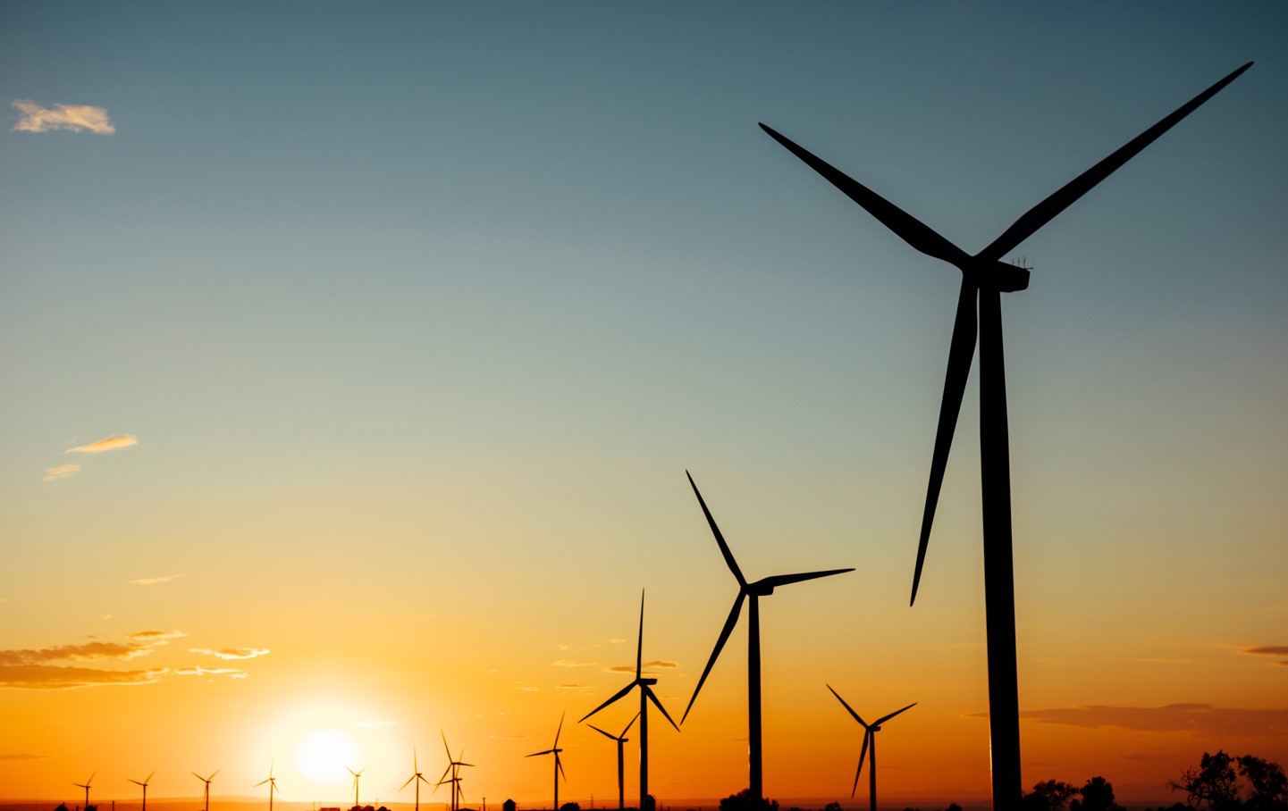 현실화된 기후위기... 저탄소 투자가 뜬다