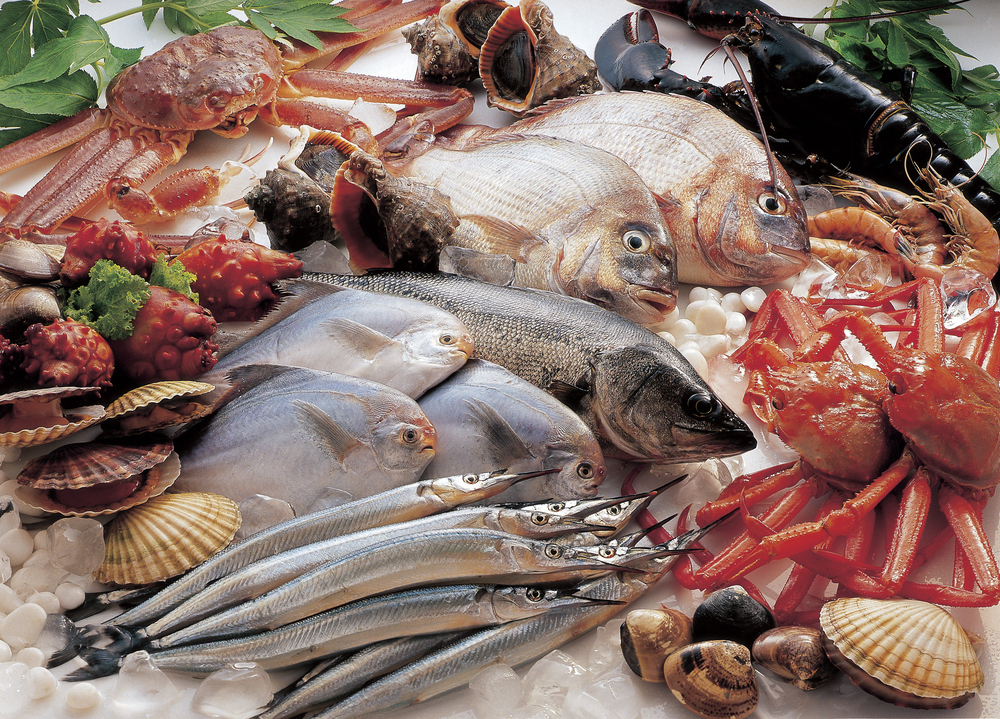 日, 중국 수산물 수출액 집계 어려울 정도로 폭락