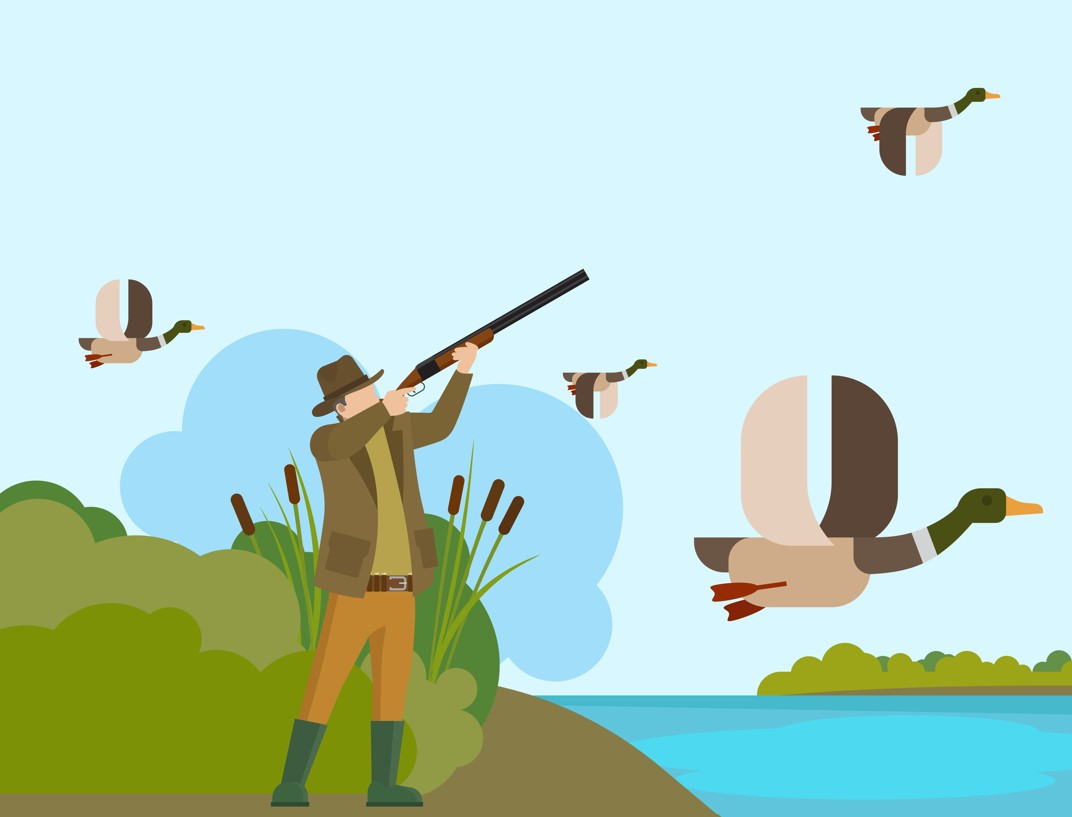 [알쓸항상]②비행안전 위협하는 버드스트라이크…대책은?