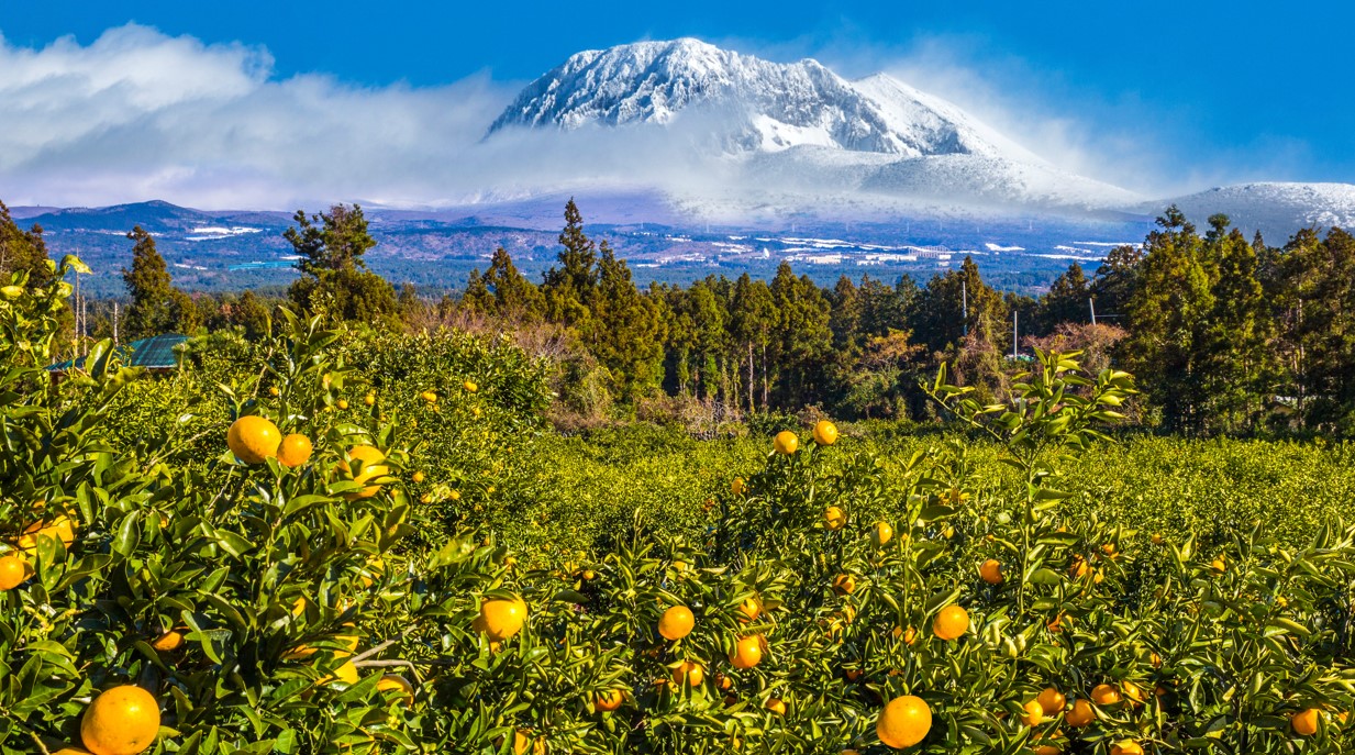 '환경보전분담금' 지불하라는 제주도... 생활폐기물 양 어떻길래?