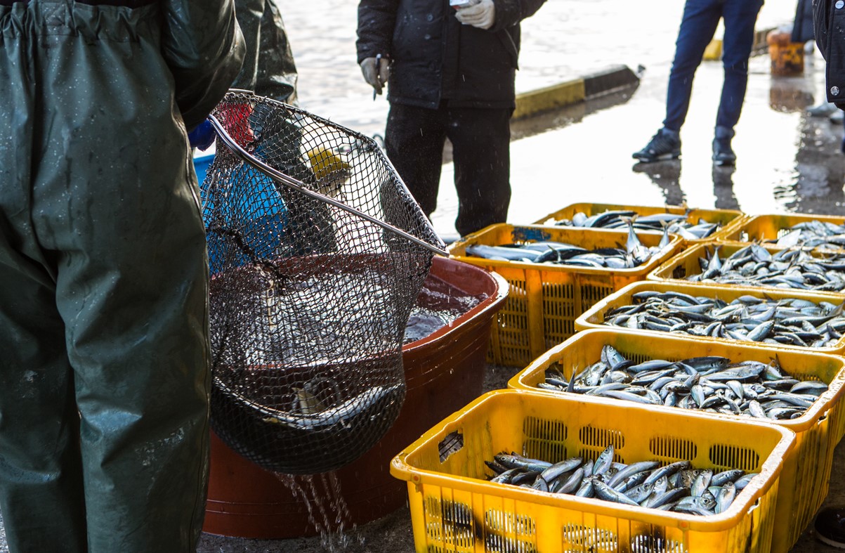 코앞으로 다가온 후쿠시마 오염수 방류, "소통하겠다"는 정부