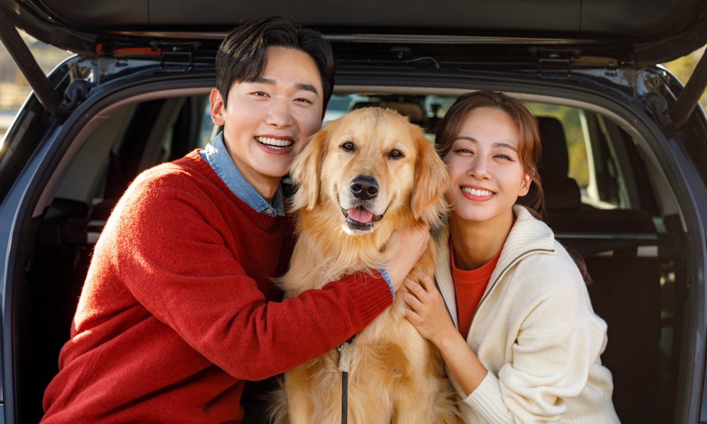 LCC,팻팸족 잡기위해 관련 서비스 잇따라 출시