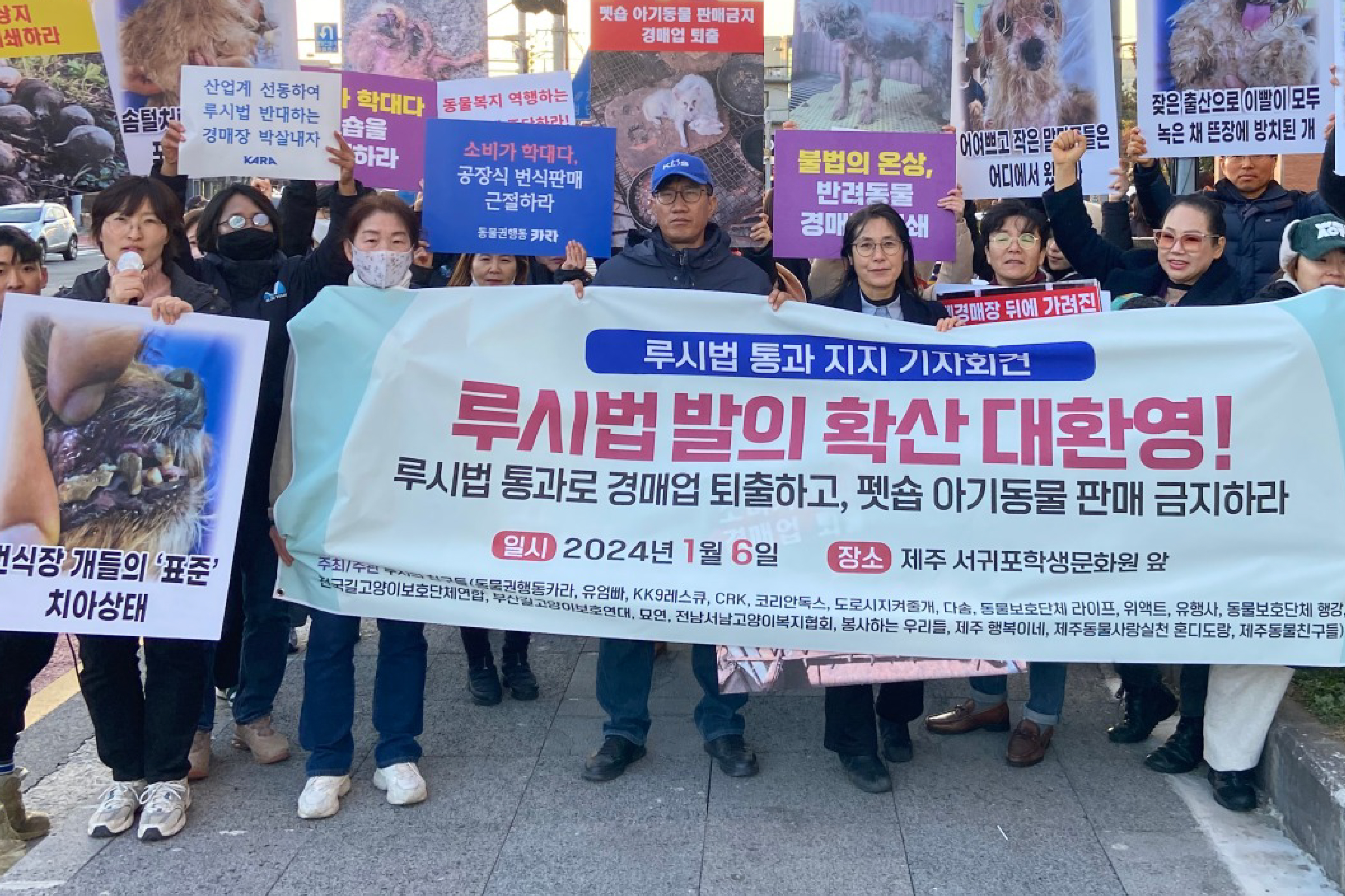 [위고라] 찬반 엇갈리는 ‘한국판 루시법’...여러분의 생각은?