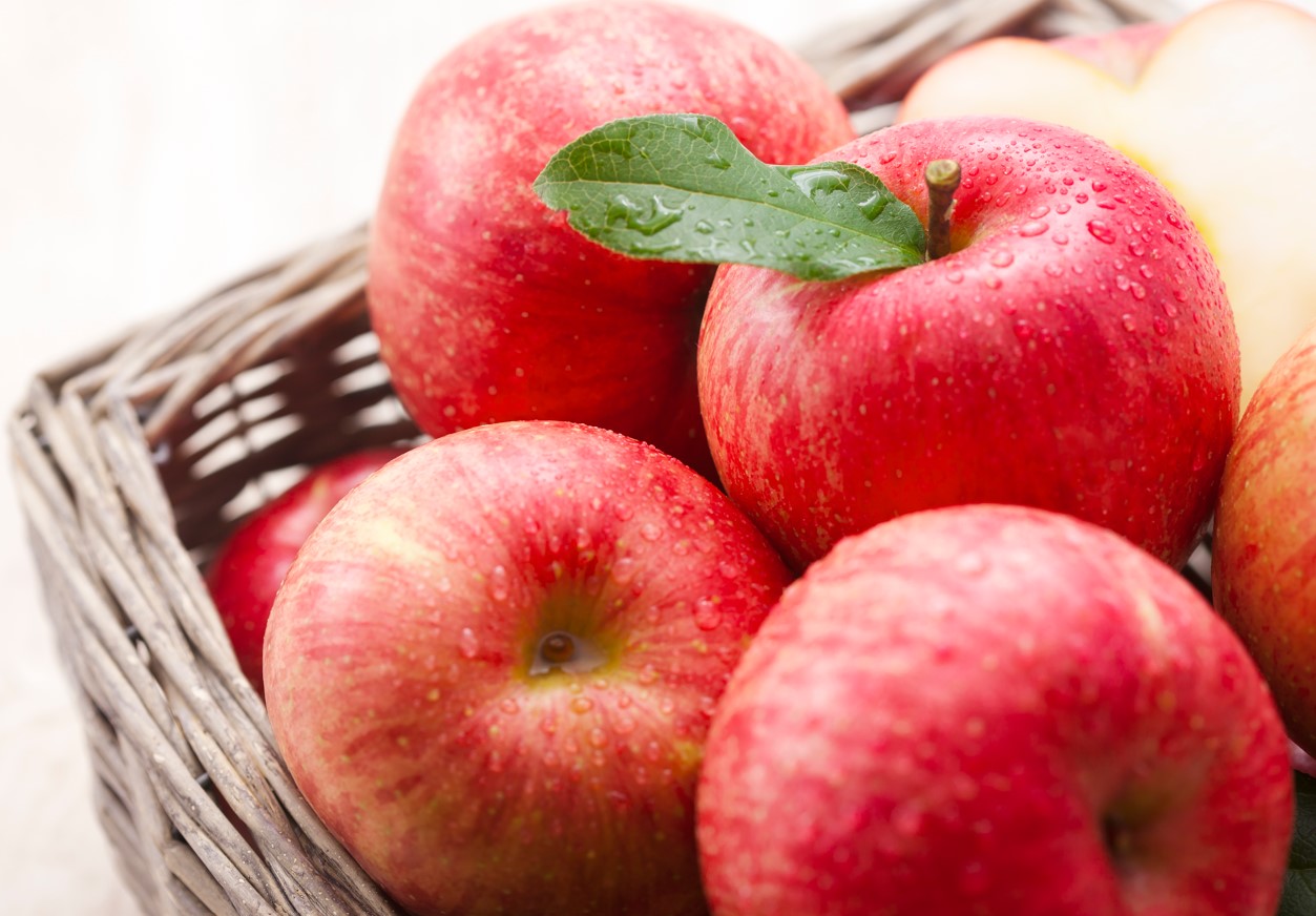 정부 노력에도 농축수산물 물가 고공행진... 2월 소비자물가지수 3.1% ↑