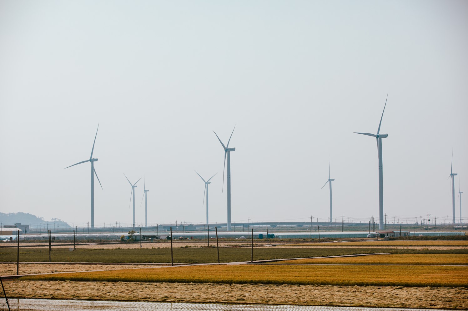 선박업계·건설업계, 미래 먹거리 해상풍력발전 확대 적극 나서