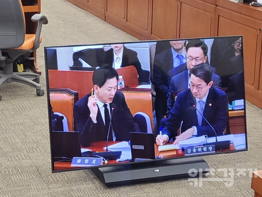 [2025 국정감사] 정무위 국감, 野 '부동산 규제 질타'...이억원 "고가주택 상승 억제 위한 비상 조치"
