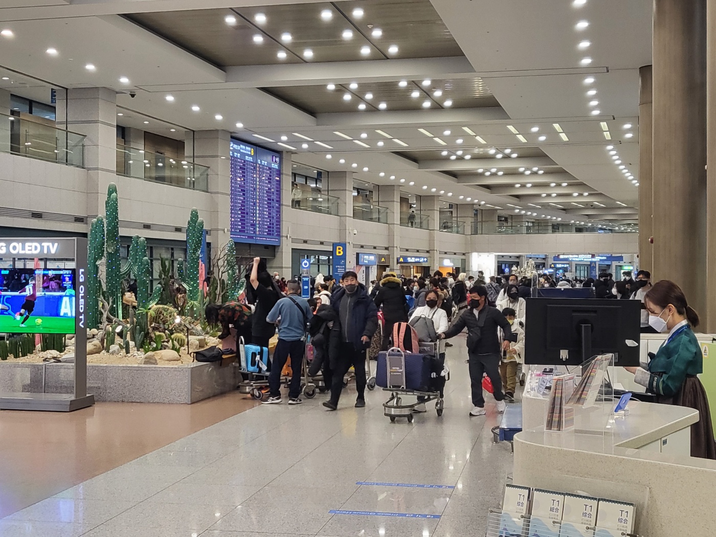 [르포]“장사 15년 만에 처음 문 닫고 일본 갑니다”…다시 활기를 찾은 인천공항