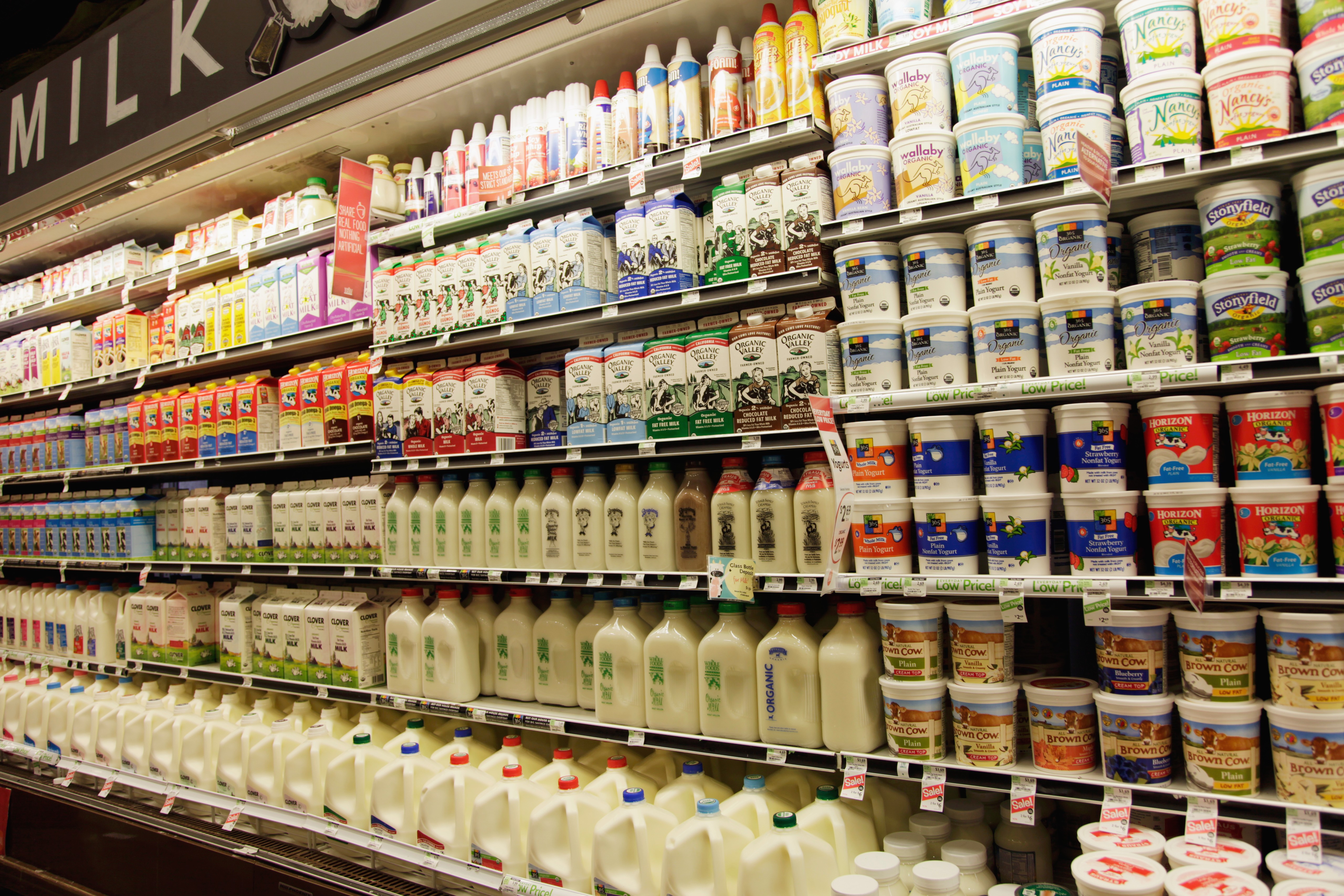 [외신] 1년만에 가장 적게 올랐다... 11월 미국소비자물가지수 7.1% ↑