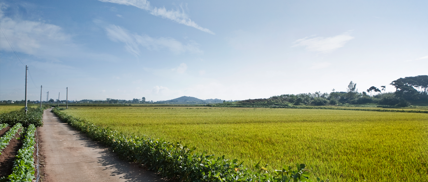 '양곡관리법 개정안'을 두고 한 치도 물러서지 않는 與/野