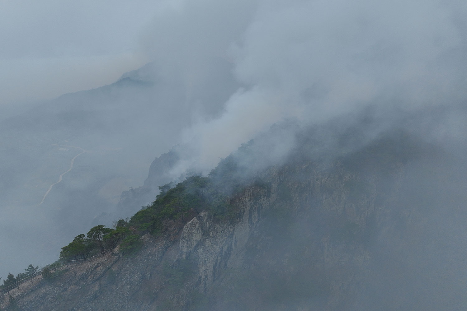 정부,”이재민 일상 회복에 최선 다할 것”…韓 대행, 행안부에 긴급지시도