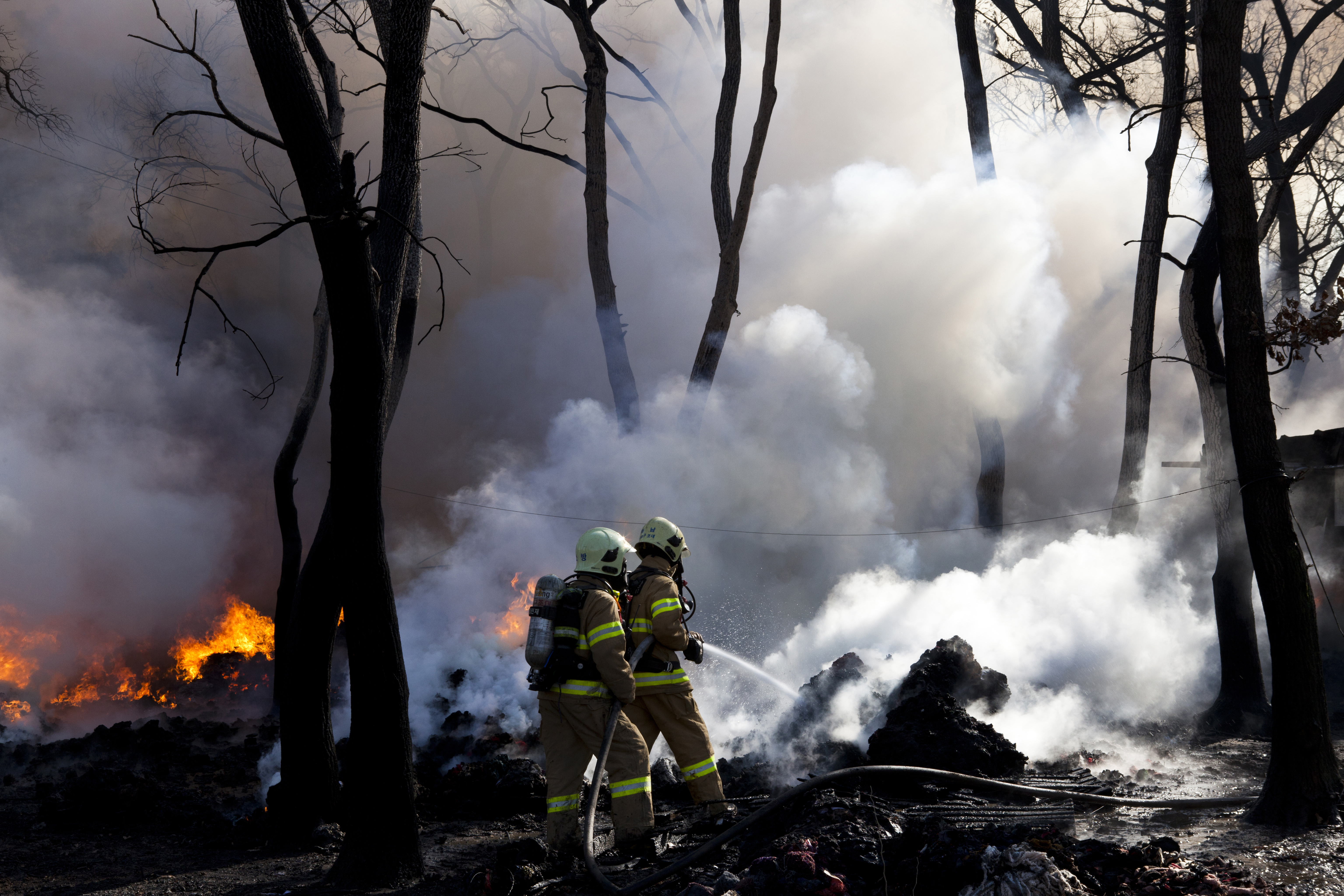 [외신] 지구온난화의 '시한폭탄'이 된 아한대 삼림