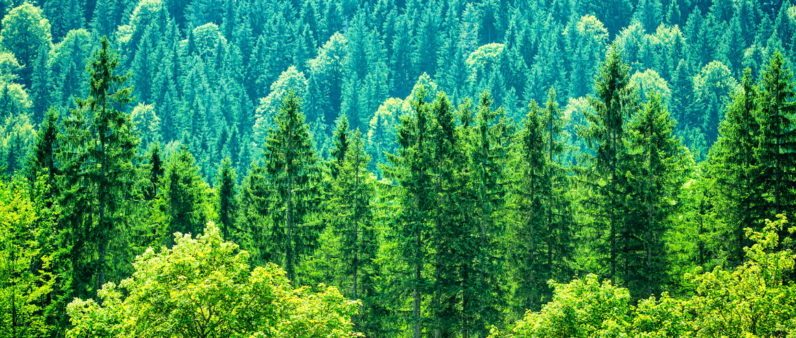 ESG 아닌 Anti-ESG?