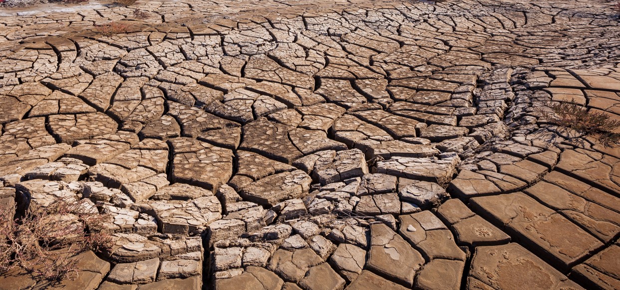 현실화된 기후위기, 코앞까지 다가온 식량안보 위협