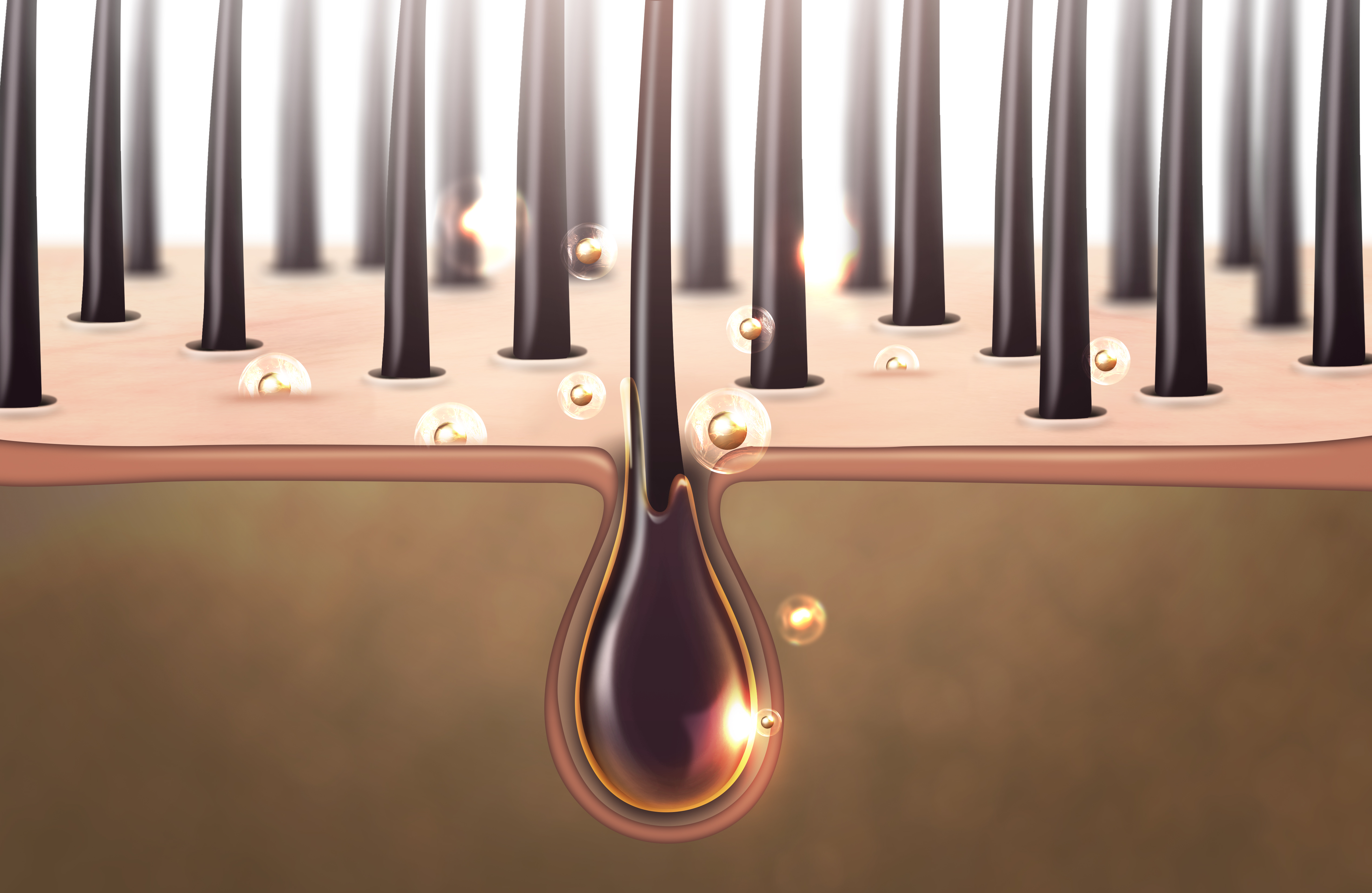 탈모 치료에 좋다는 '탈모 샴푸'?... 광고에 속지 말자