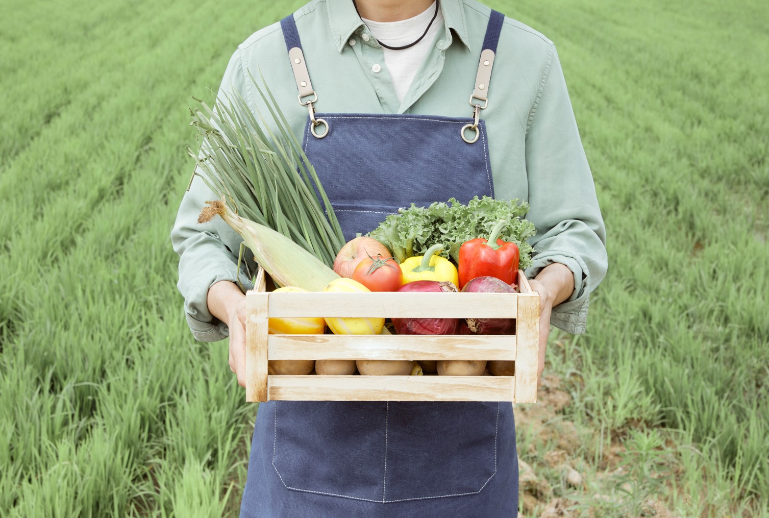 귀농·귀촌 인구 감소... 이유와 해법은?