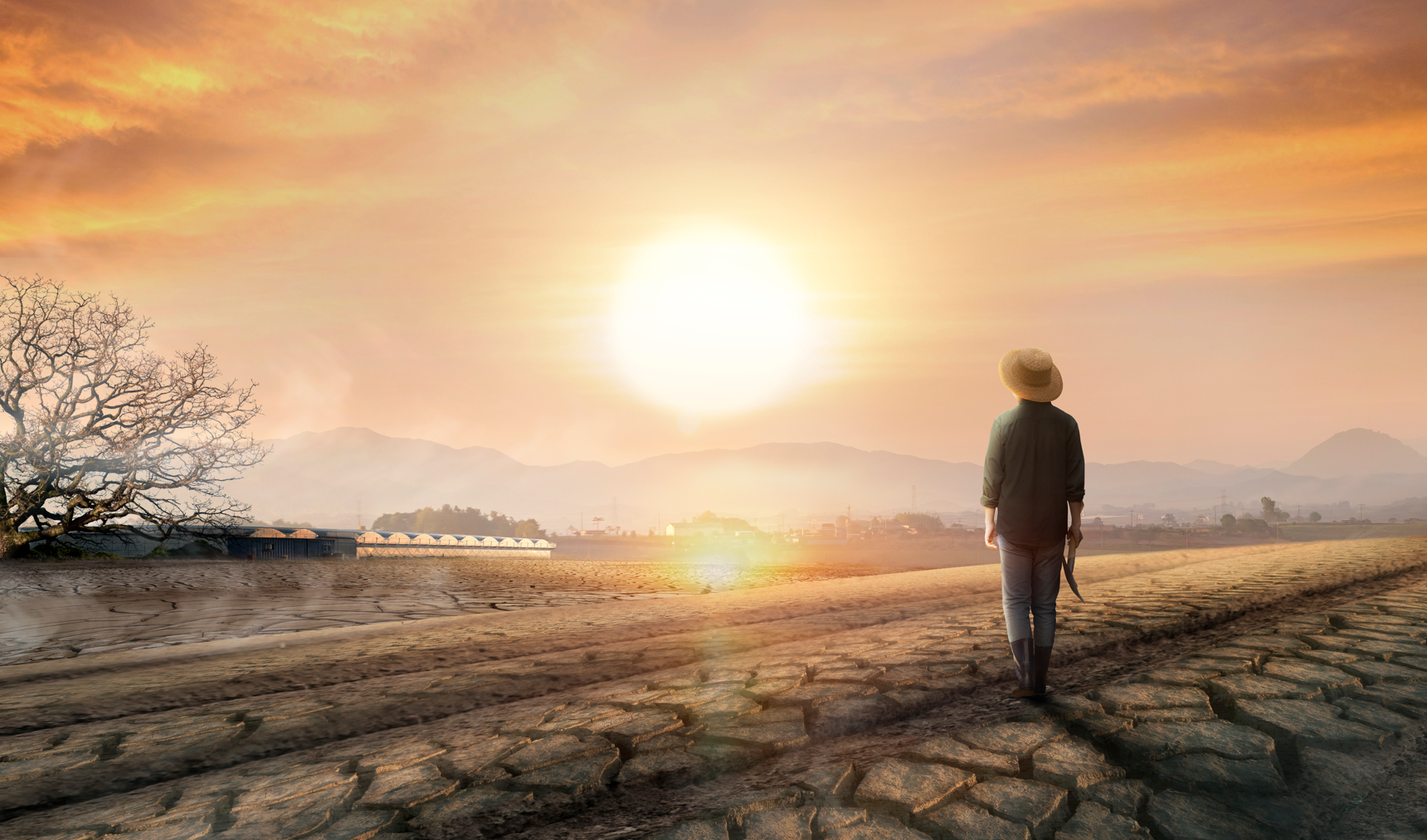 지방소멸의 해법 귀농?... 농업취업자, 근로시간 높고 건강문제 많아