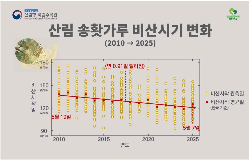 송홧가루, 해마다 더 빨리 날리는데…앞당겨진 봄 대응은 과제