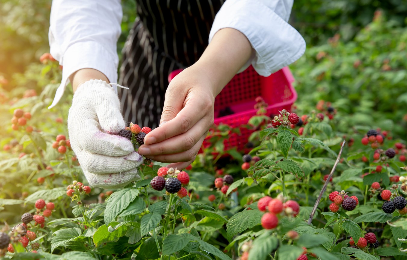 불면증에 좋은 '이것'... 꾸준히 하면 '꿀잠' 가능해