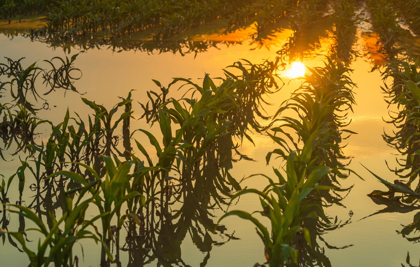 한 달 동안 1℃만 올라도 물가 상승한다