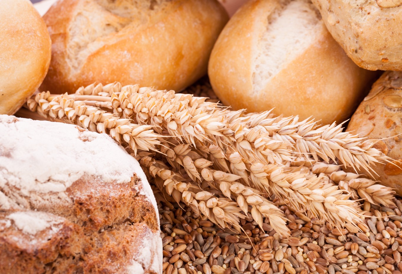 전쟁이 부른 갈등... EU, '우크라이나 농산물 수입' 논란