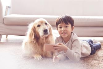 (사진=클립아트코리아)