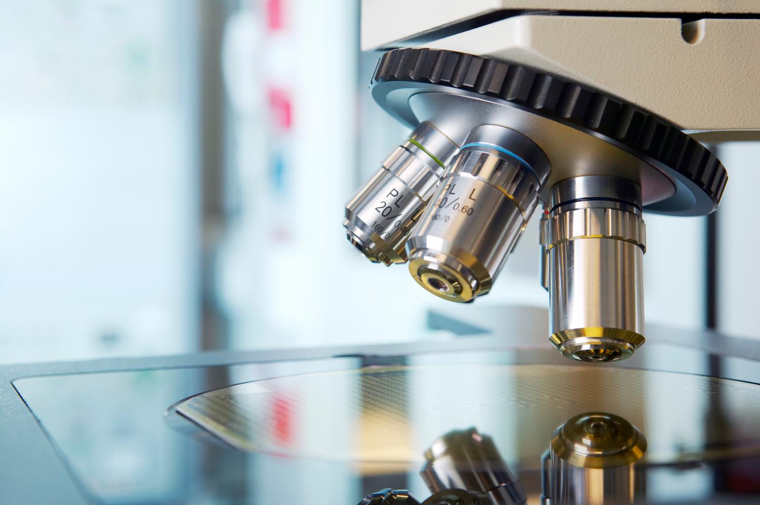 (출처=클립아트코리아)