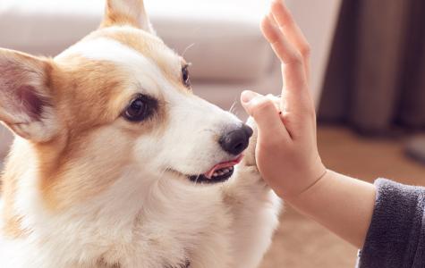 (출처 = 클립아트코리아)