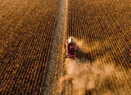 (출처 = 클립아트코리아)