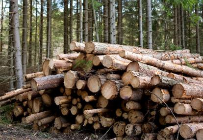 (출처 = 클립아트코리아)