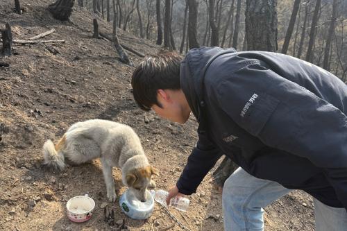 (사진=동물행동권 카라)