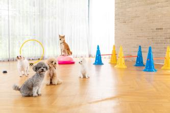 (출처=클립아트코리아)