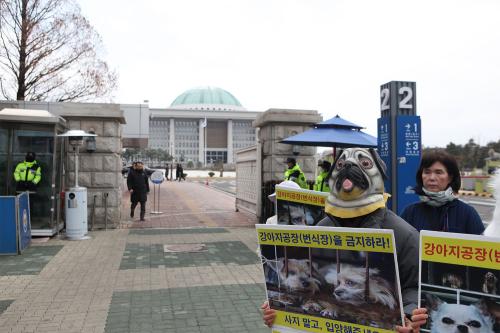 18일 국회 앞에서 진행된 한국동물보호연합 기자회견(사진=위즈경제)