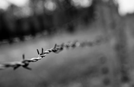 (출처 = 클립아트코리아)