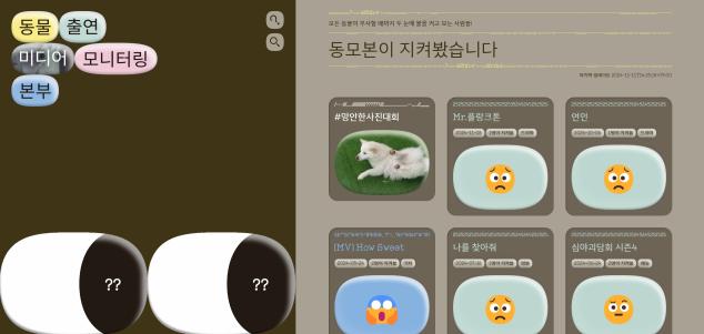 (사진=동물행동권 카라)