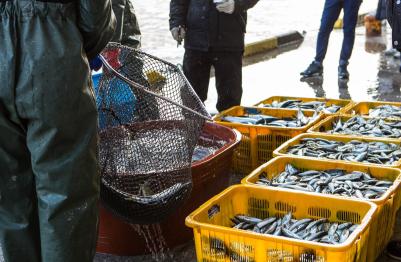 (출처=클립아트코리아)