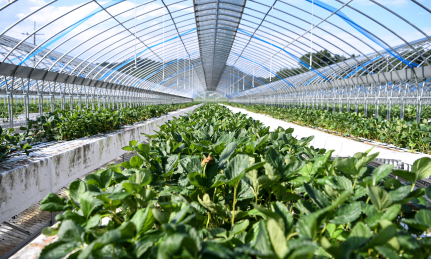 (출처=클립아트코리아)