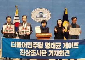 더불어민주당은 28일