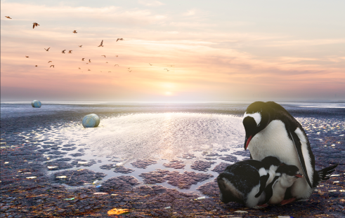 (출처=클립아트코리아)