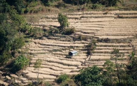 (출처 = 클립아트코리아)