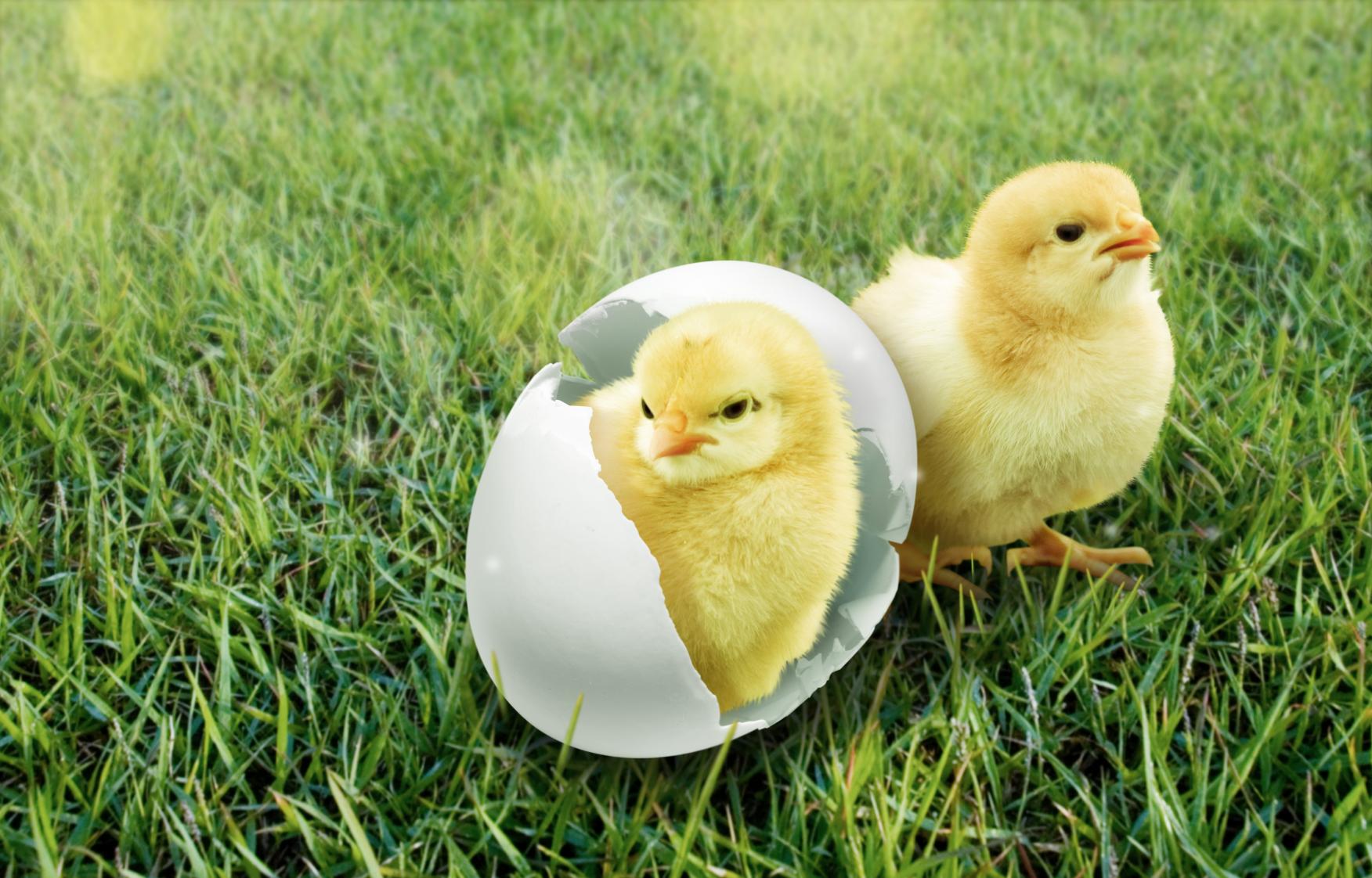 (출처 = 클립아트코리아)