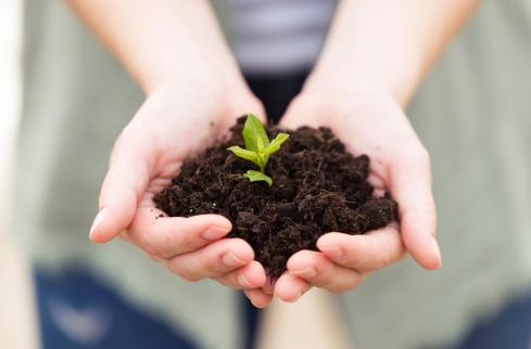 (출처=클립아트코리아)