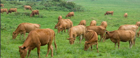 (출처=클립아트코리아)