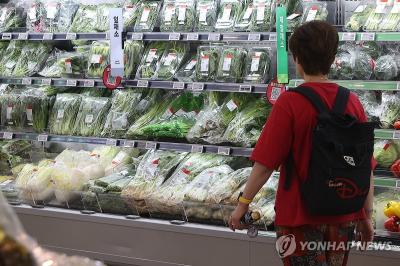 대형마트에서 채소를 고르는 시민 (사진=연합뉴스)