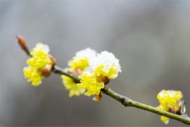 (출처=클립아트코리아)