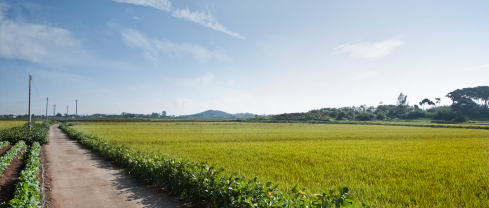 (출처: 클립아트코리아)