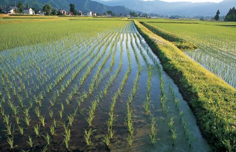 (출처 = 클립아트코리아)